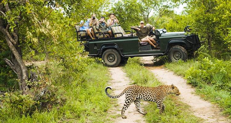 protect-the-environment-on-your-sri-lanka-wildlife-safari-header